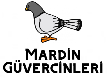 Mardin Güvercinleri Logo